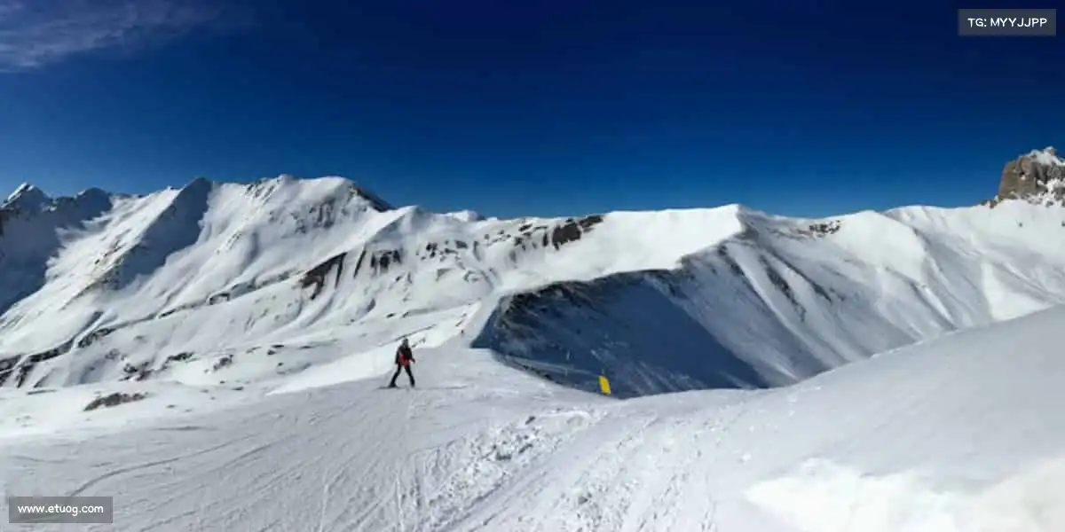 sg胜游亚洲体育——点燃运动热情,畅享无限可能!🏀